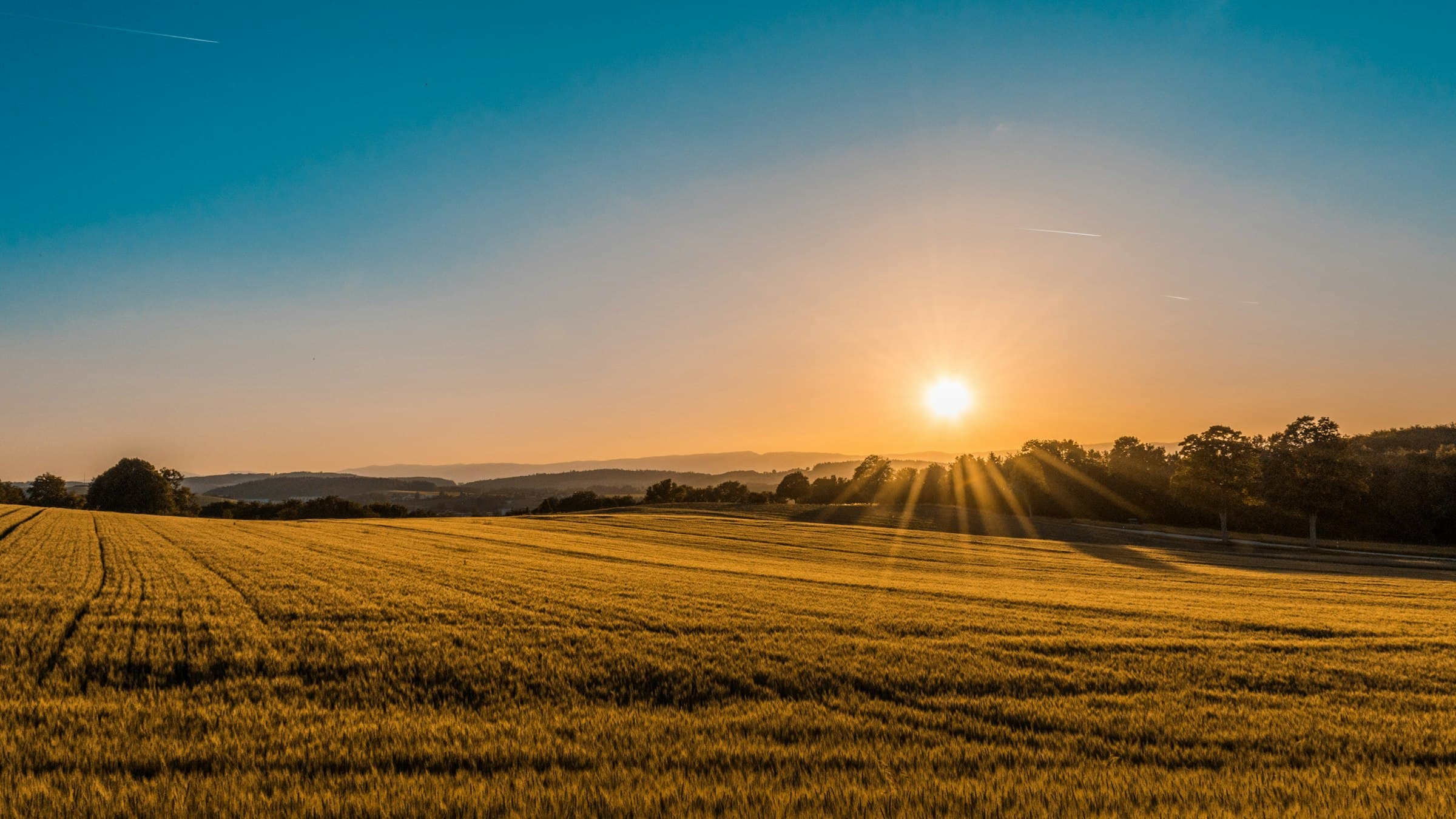 Land & Acreage