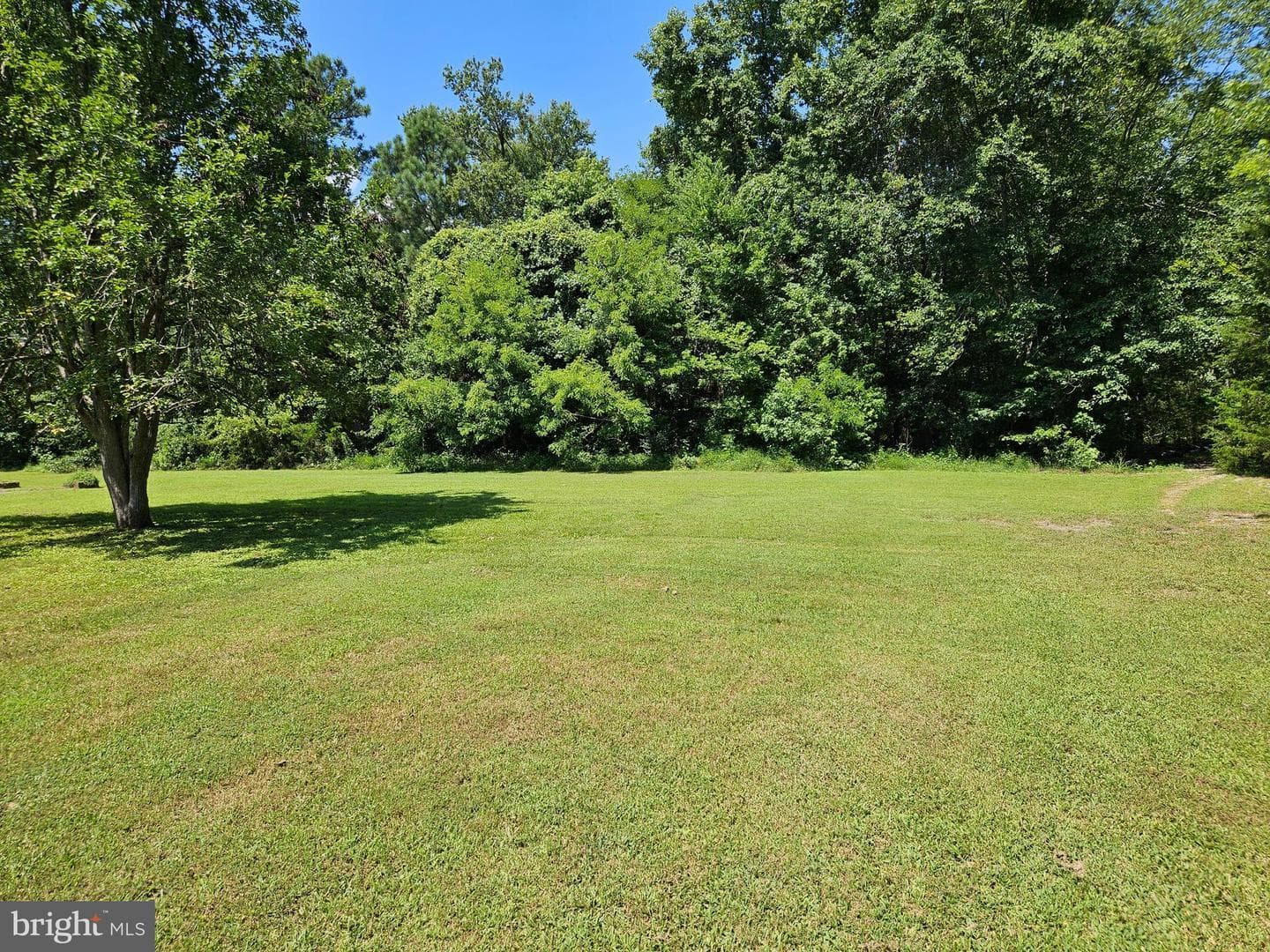 16485 Dawn Blvd — photo 6