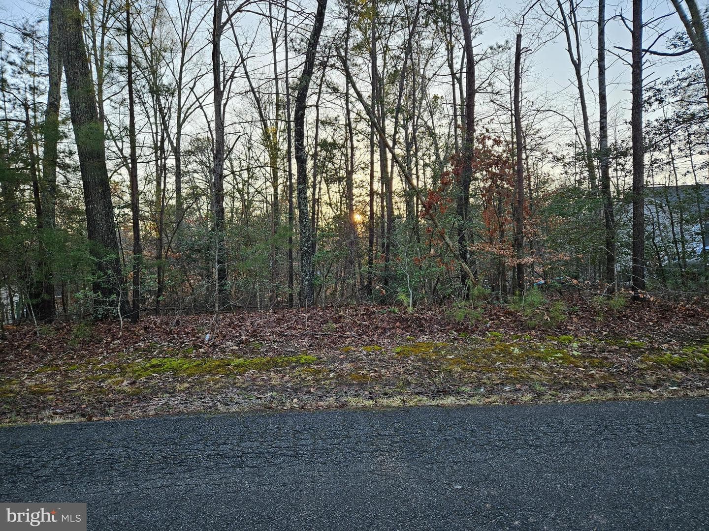 291 Land Or Dr — photo 3