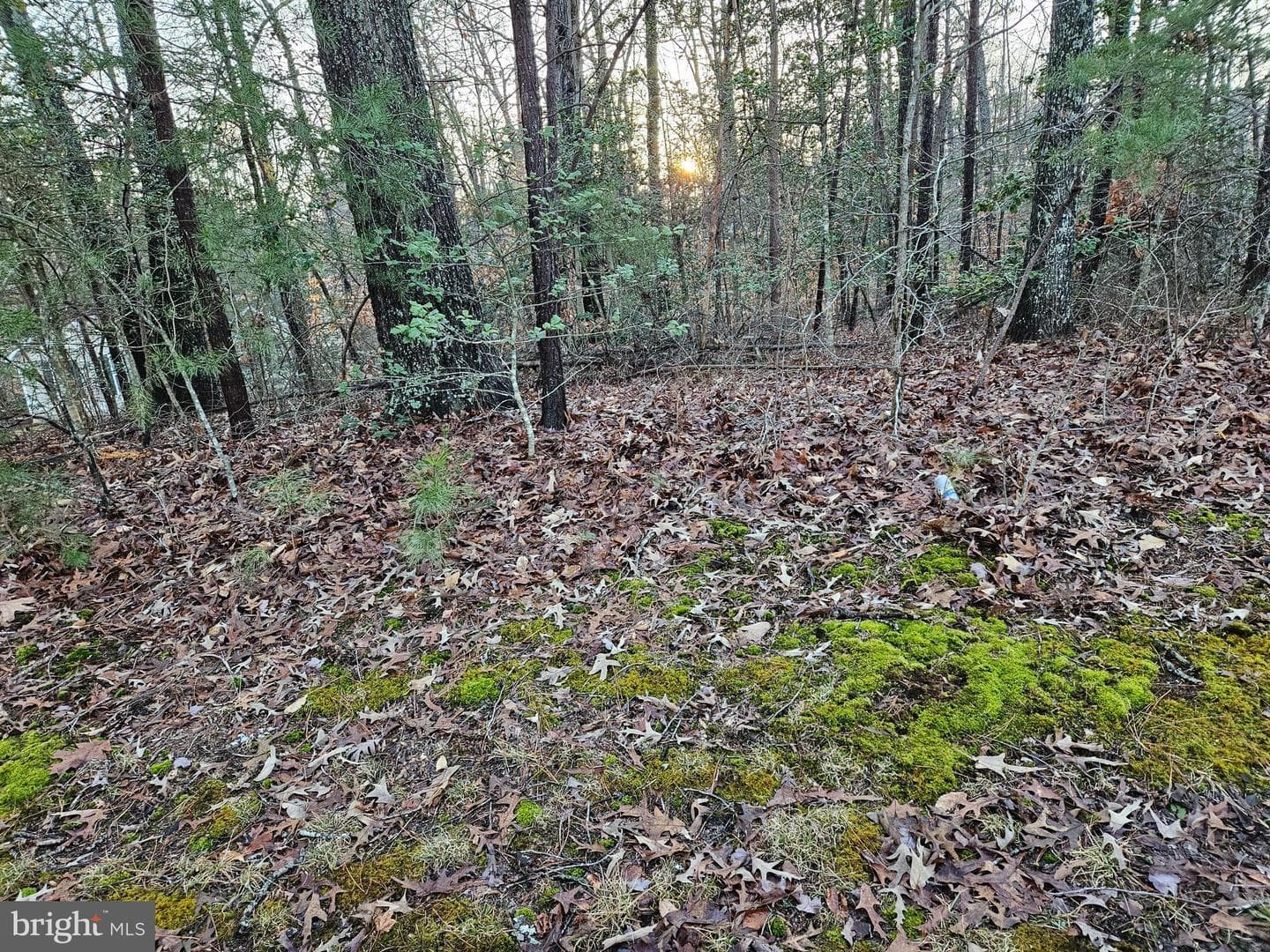 291 Land Or Dr — photo 4