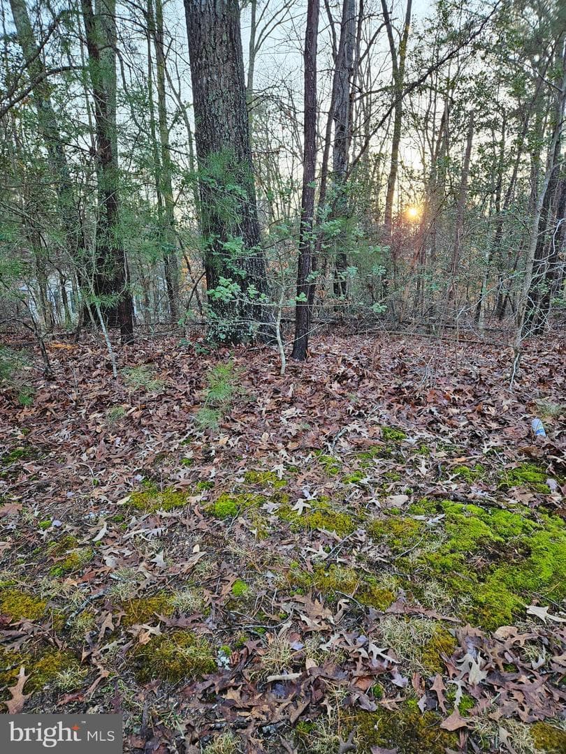 291 Land Or Dr — photo 5