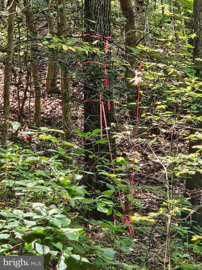 00 Off Of Long Branch Rd