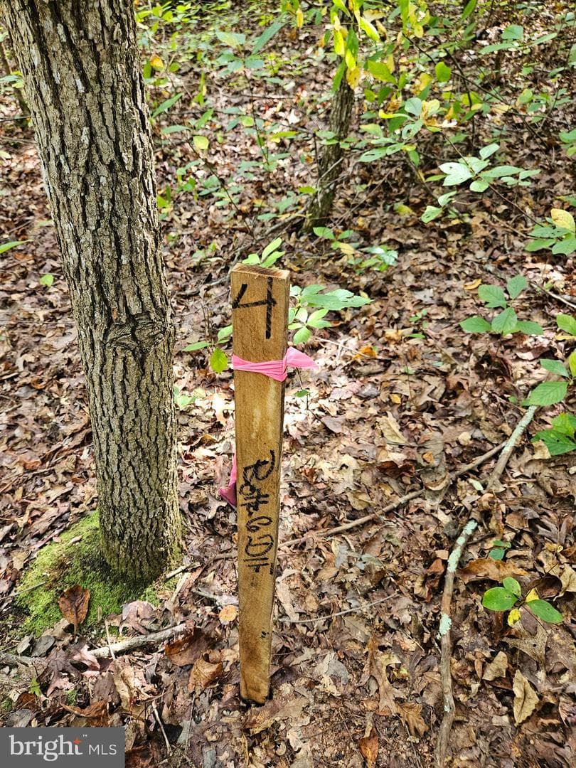 00 Off Of Long Branch Rd — photo 5