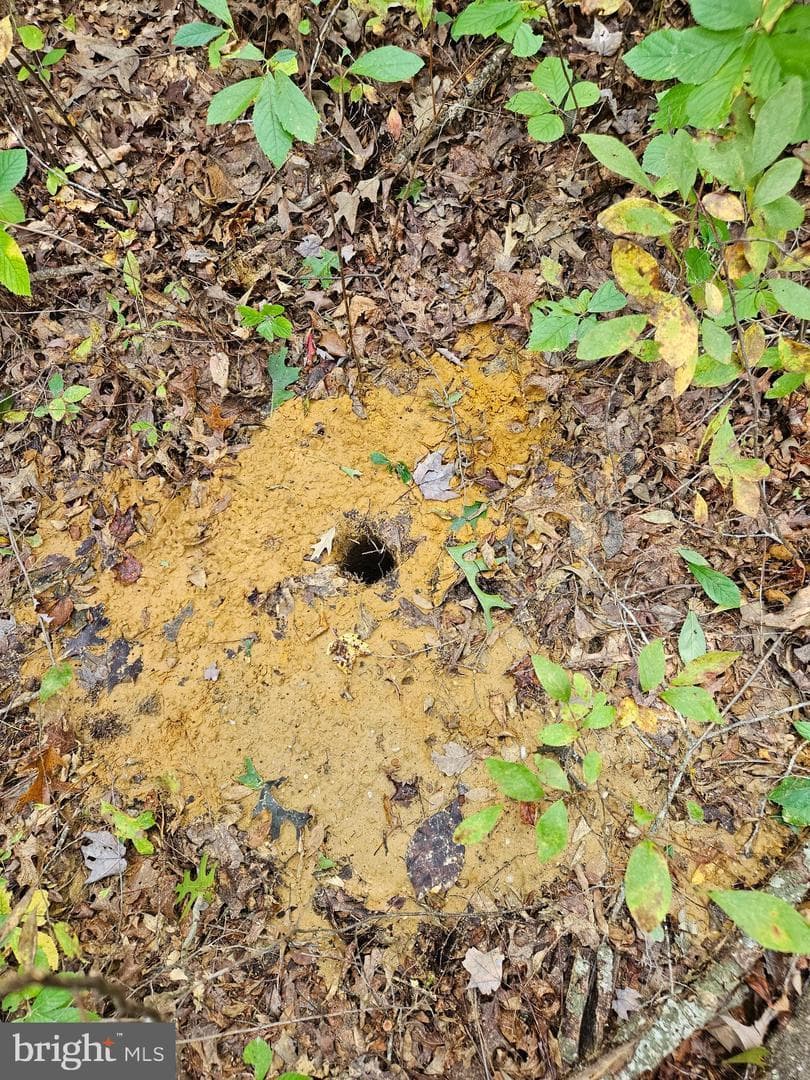 00 Off Of Long Branch Rd — photo 6