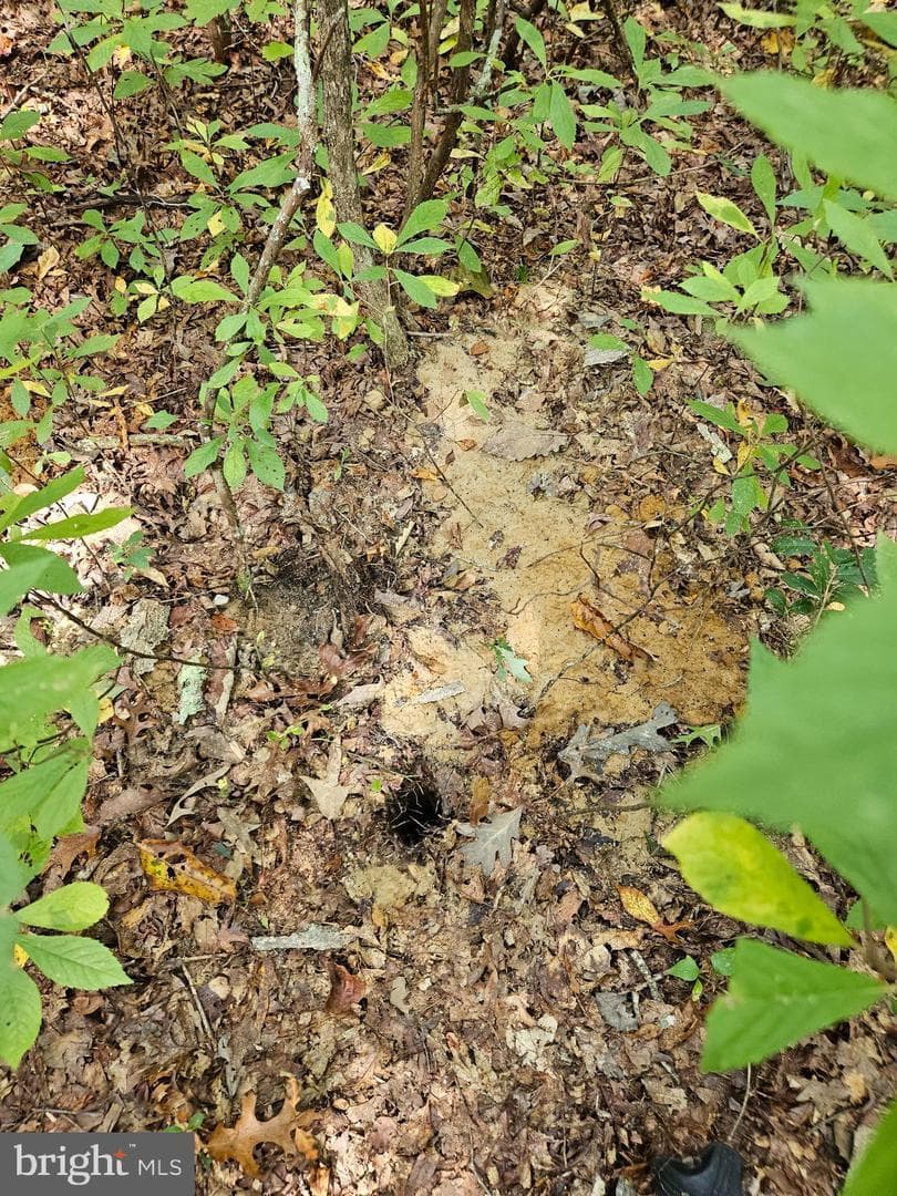 00 Off Of Long Branch Rd — photo 7