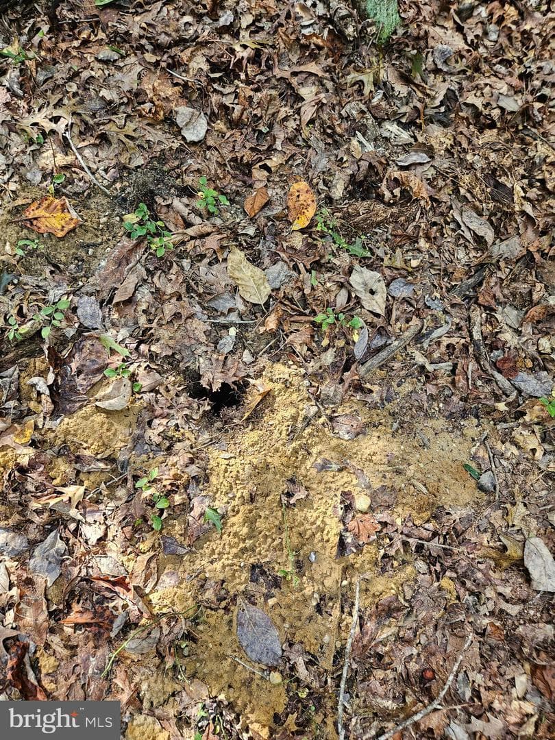 00 Off Of Long Branch Rd — photo 8