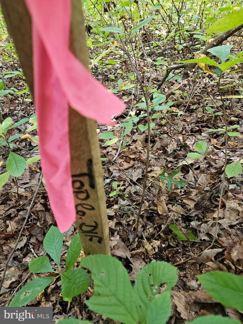 00 Off Of Long Branch Rd — photo 9