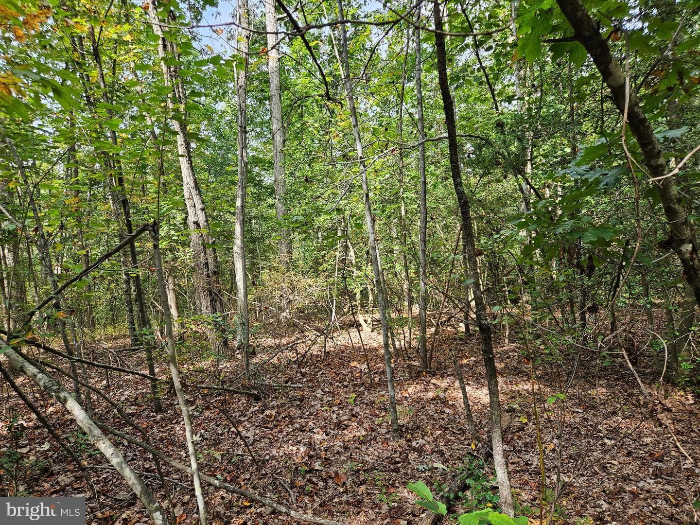 00 Off Of Long Branch Rd — photo 10