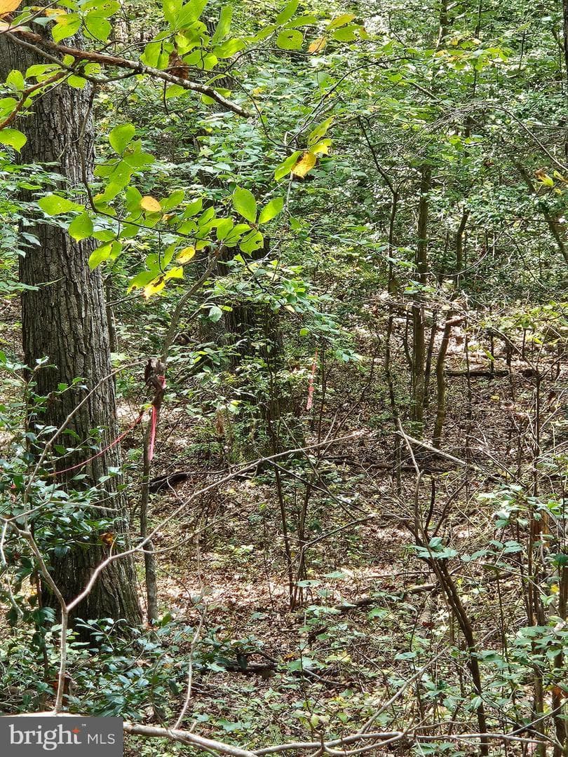 00 Off Of Long Branch Rd — photo 14