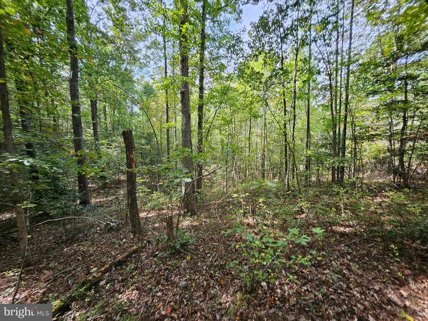 00 Off Of Long Branch Rd — photo 15