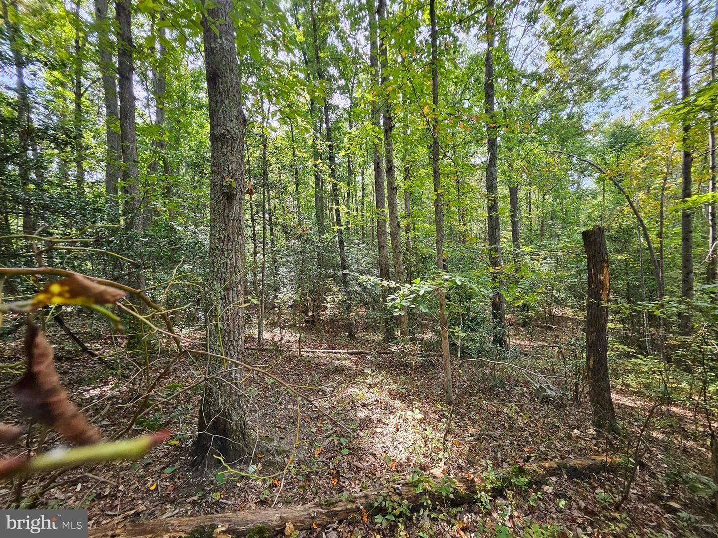 00 Off Of Long Branch Rd — photo 16