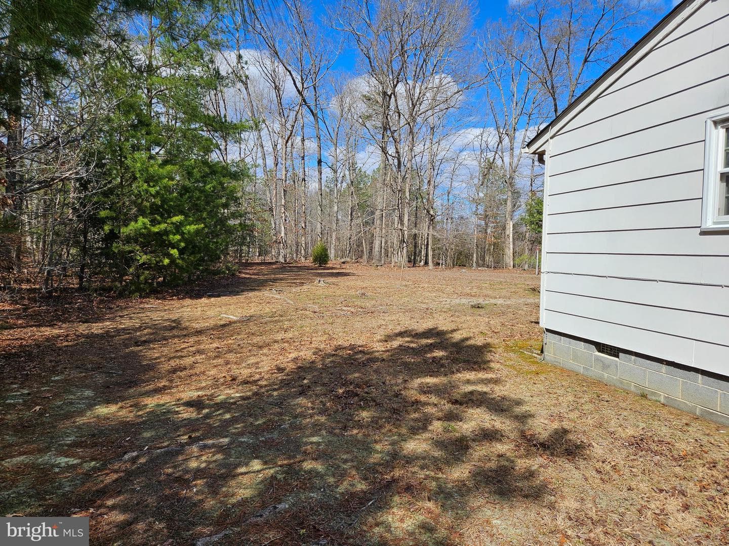 12393 Paige Rd — photo 5