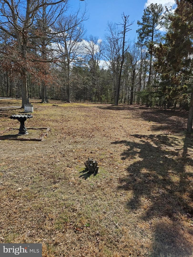 12393 Paige Rd — photo 6